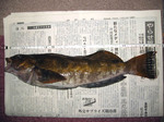 2006-12-13.jpg