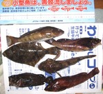 2006-12-23.jpg