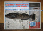 2007-1-1.jpg