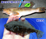 釣り日記2007-9-30